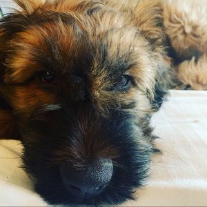 Meet your Posher, Janet